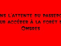 01-17-00-00-BB-00 - Passeport forêt des Ombres